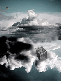 CAGE ET OISEAU 1.jpg