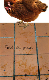 13-POULE.jpg