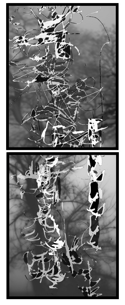 B__C__BROUILLARDDESSIN EN AVEUGLE, les yeux bandés, par touché du corps. Dessins repris scannés et travaillés sur palette graphique. Chaque image, au format 30 x 40, est imprimée par jet d'encres aux pigments.Les initiales désignent en premier celui qui dessine, en second, celui qui est dessiné80 X 30   octobre 2010