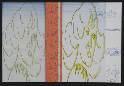 EVOLUTIONS VISAGES 01.jpg