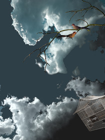 CAGE ET OISEAU 3.jpg