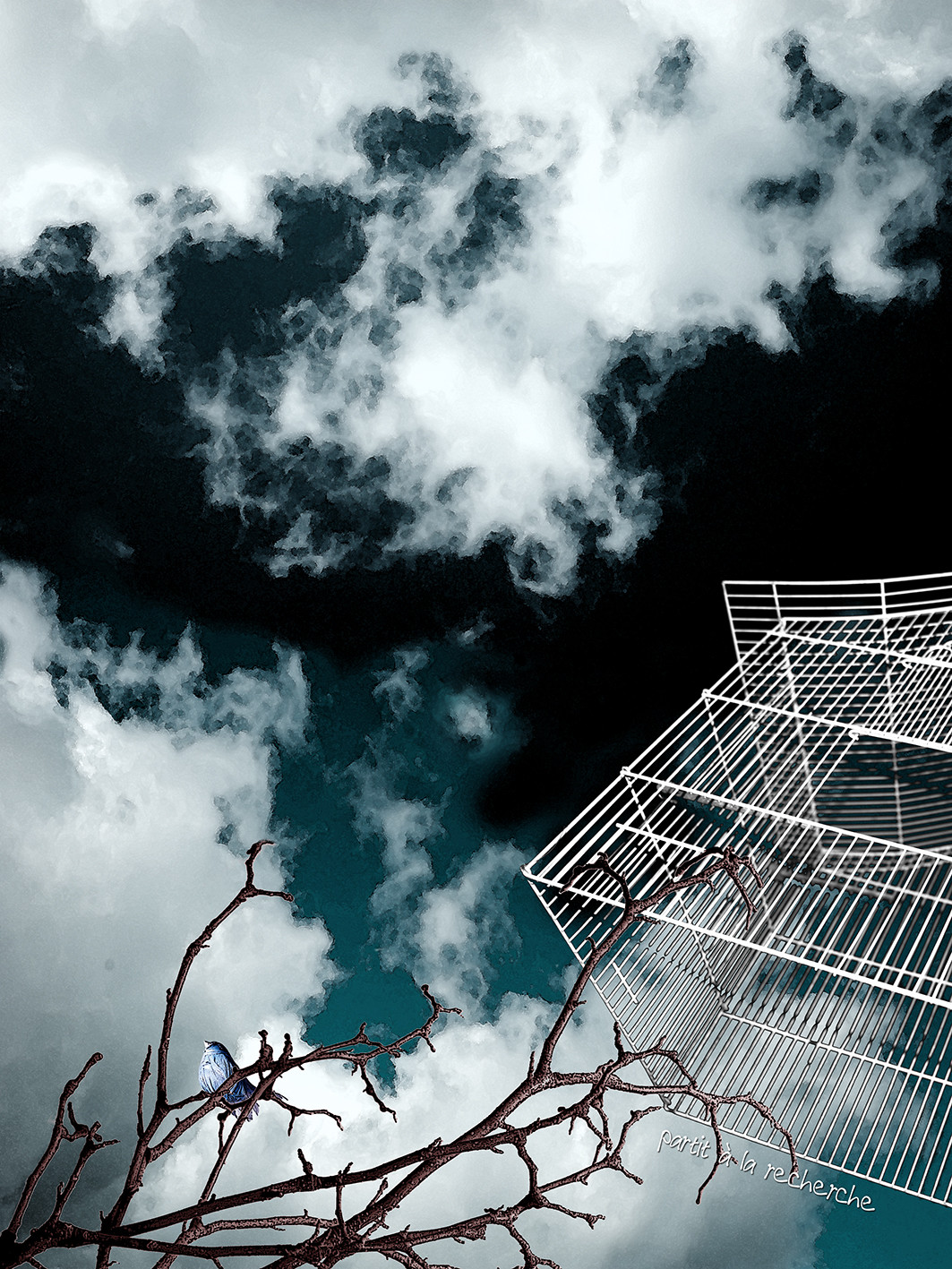 CAGE ET OISEAU 5.jpg