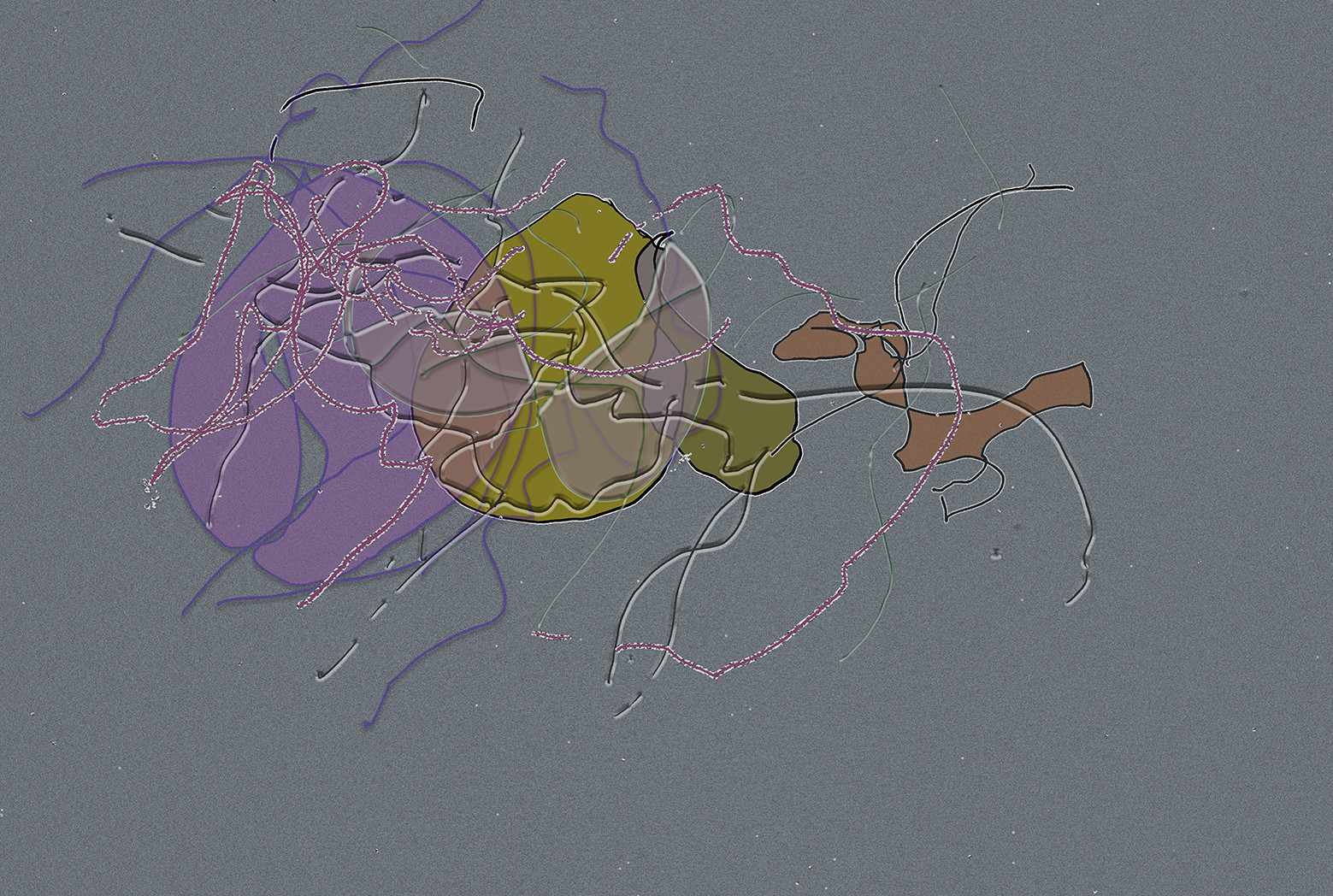71 - VIR  CL - SEXE GEANTES PAR MONTS ET PAR VAUX