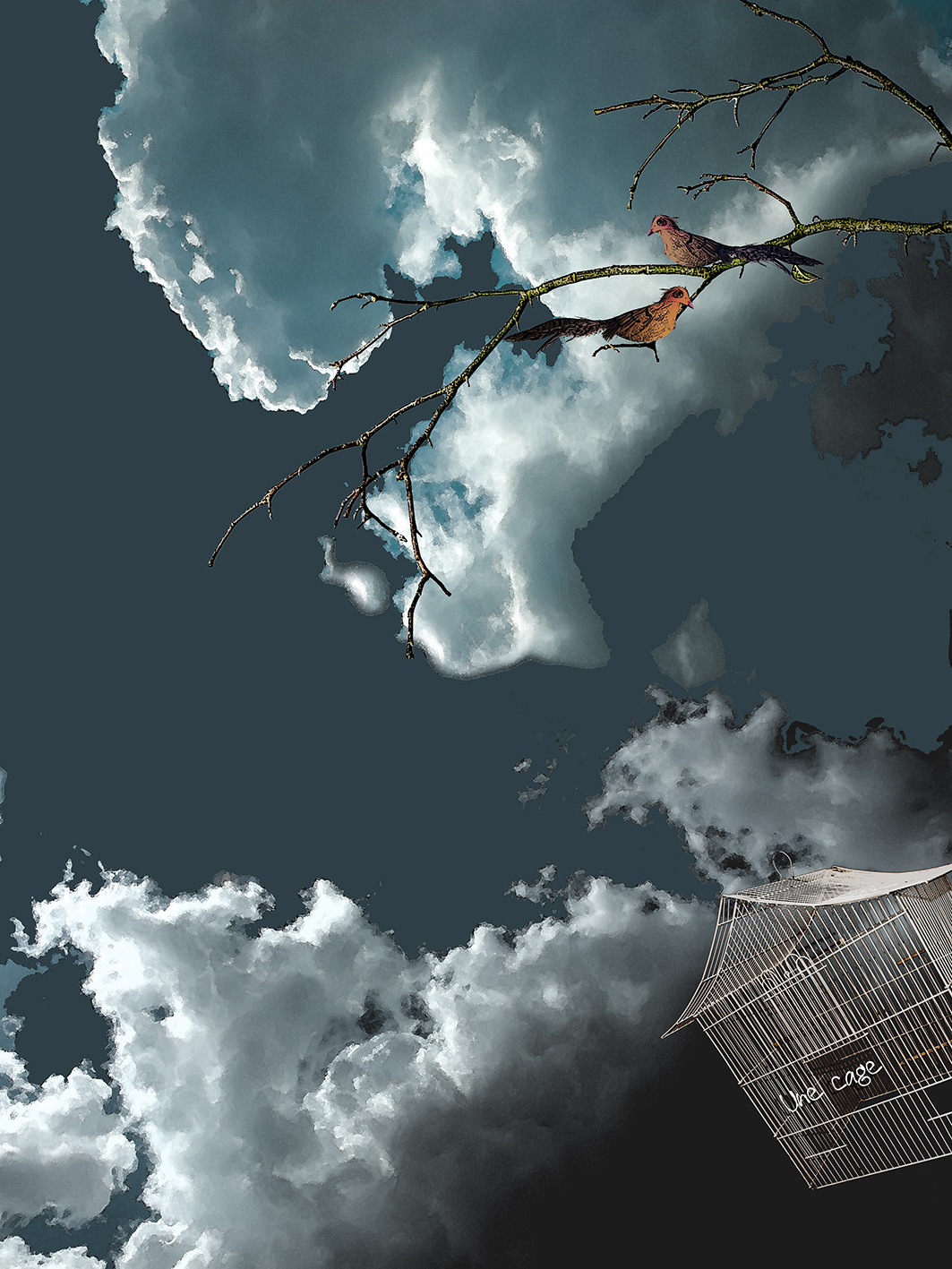 CAGE ET OISEAU 3.jpg