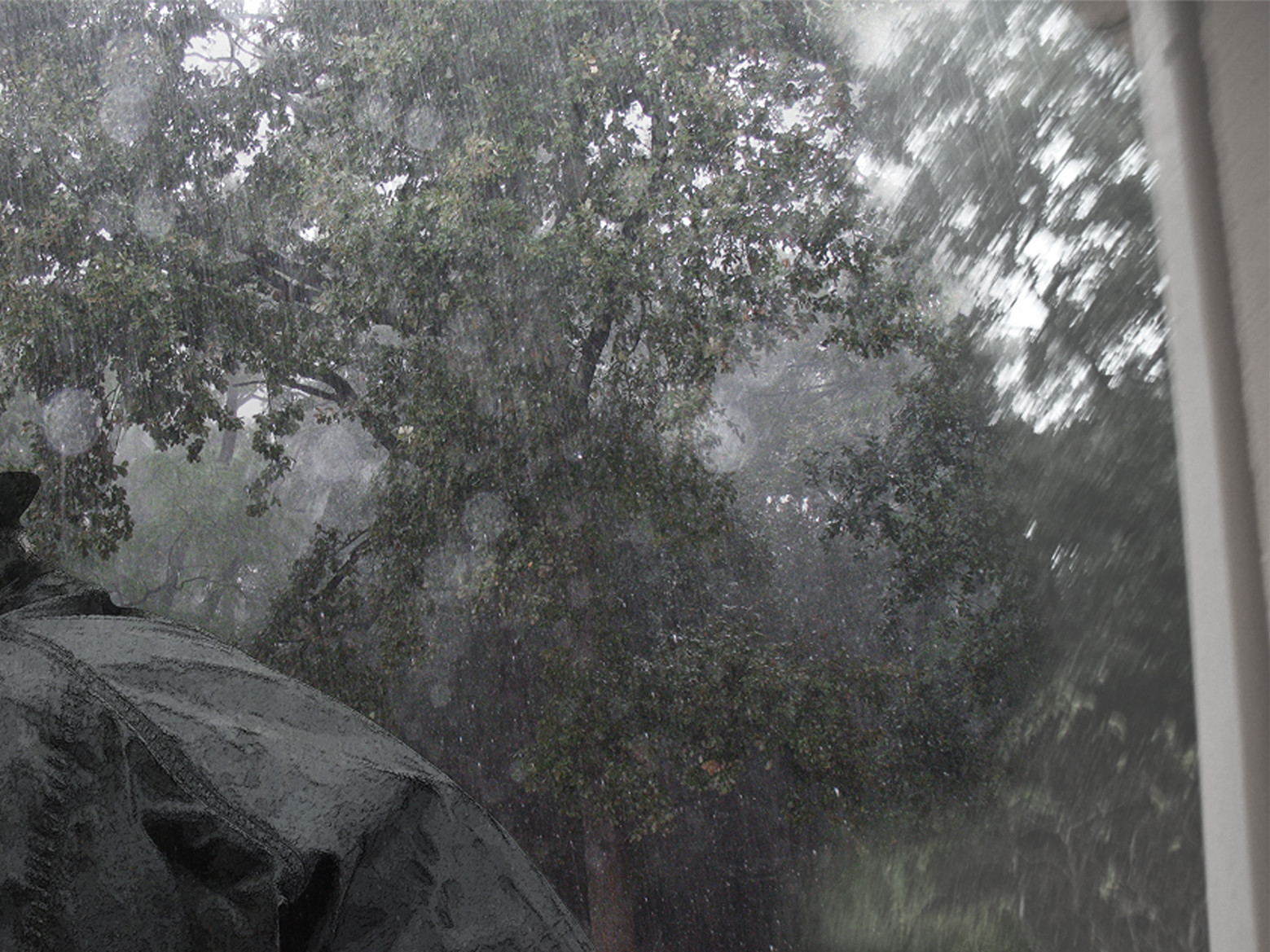 KAFKA,  LA PLUIE  2