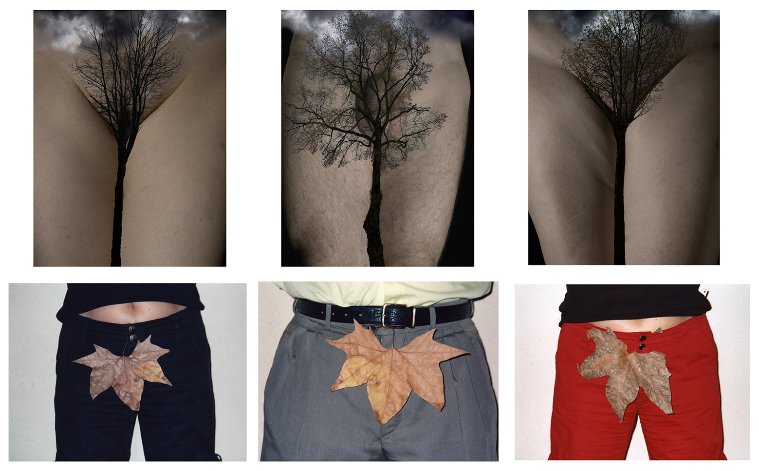 PARALLÉLISME - VOILÉ DÉVOILÉ62