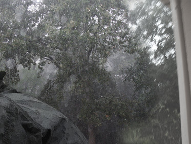 KAFKA,  LA PLUIE  2