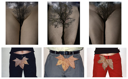 PARALLÉLISME - VOILÉ DÉVOILÉ62