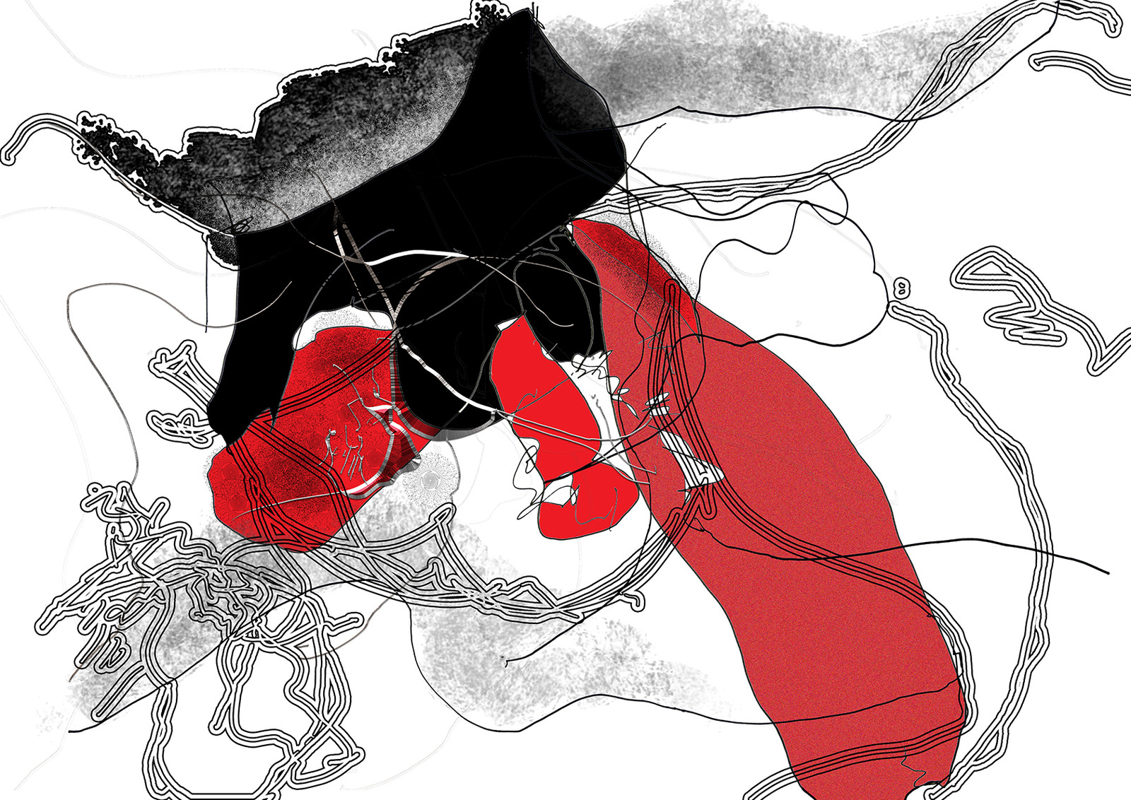 GEANTE APSARA n° 16   REPLIQUE Fr  Claude   SEXE