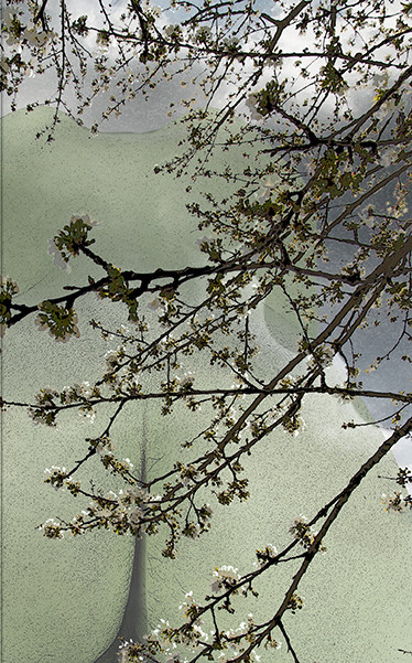 PRINTEMPS PAGE-17.jpg