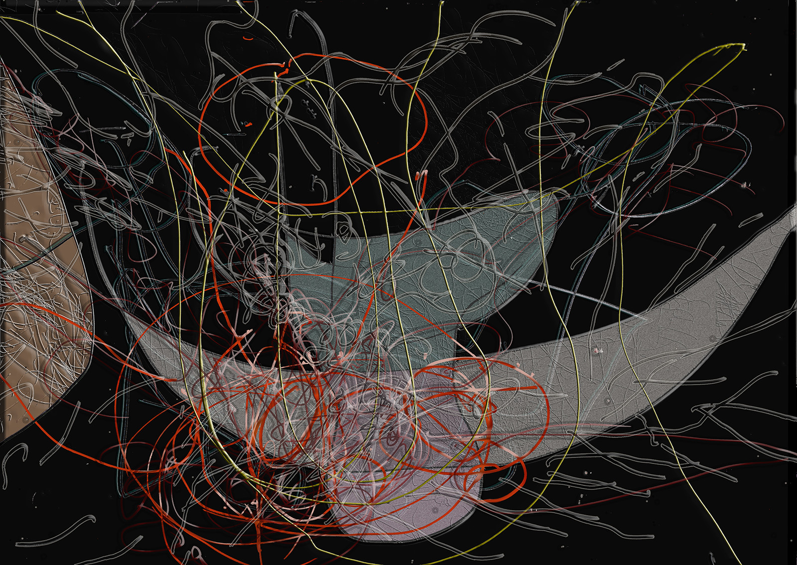 52- DO  CL - GÉANTE AGILE - SEXE